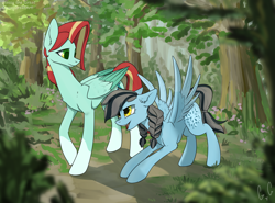 Size: 2600x1920 | Tagged: safe, artist:glassygreatart, oc, oc:crochetquill, pegasus, pony, duo, folded wings, forest, smiling, spread wings, talking, wings