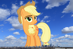 Size: 1900x1267 | Tagged: safe, artist:dashiesparkle, artist:thegiantponyfan, applejack, earth pony, pony, g4, applejack's hat, cowboy hat, dallas, female, freckles, giant pony, giant/macro earth pony, giantess, hat, highrise ponies, irl, looking at you, macro, mare, mega applejack, mega giant, photo, ponies in real life, smiling, stetson, story included, texas