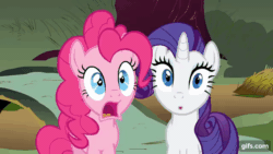 Size: 640x360 | Tagged: safe, screencap, pinkie pie, rarity, earth pony, pony, unicorn, g4, putting your hoof down, season 2, :o, animated, duo, female, gif, gifs.com, mare, open mouth