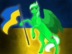 Size: 4000x3000 | Tagged: safe, artist:inisealga, oc, oc only, pegasus, pony, colored wings, commission, current events, flag, flag waving, male, pegasus oc, solo, stallion, standing on two hooves, tail, two toned mane, two toned tail, two toned wings, ukraine, wings, ych result