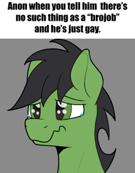 Size: 1748x2234 | Tagged: safe, artist:sefastpone, oc, oc only, oc:anon stallion, earth pony, pony, brojob, crying, digital art, implied gay, male, meme, sad, solo, stallion, teary eyes, wavy mouth