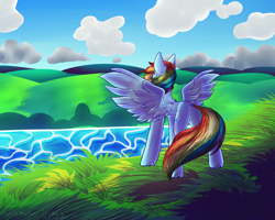 Size: 1500x1200 | Tagged: safe, artist:blackmarkerdraws, rainbow dash, pegasus, pony, g4, female, grass, solo, spread wings, water, wings