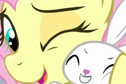 Size: 1095x730 | Tagged: safe, artist:noupu, angel bunny, fluttershy, pegasus, pony, rabbit, g4, animal, cheek squish, close-up, cute, duo, eyes closed, female, grin, hug, male, mare, one eye closed, open mouth, open smile, shyabetes, smiling, squishy cheeks