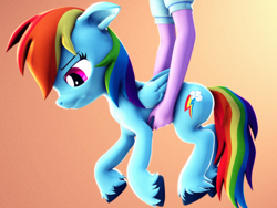 Size: 2880x2160 | Tagged: safe, artist:psfmer, rainbow dash, twilight sparkle, pegasus, pony, equestria girls, g4, 3d, disembodied arm, disembodied hand, female, gradient background, hand, high res, holding a pony, mare, revamped ponies, scrunchy face, solo, source filmmaker, unshorn fetlocks
