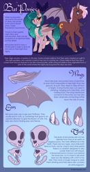 Size: 2674x5080 | Tagged: safe, artist:silkensaddle, bat pony, pony, reference sheet, skull