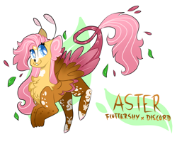 Size: 2736x2220 | Tagged: safe, artist:goldlines005, oc, oc only, draconequus, hybrid, chest fluff, draconequus oc, female, high res, interspecies offspring, offspring, parent:discord, parent:fluttershy, parents:discoshy, simple background, solo, white background