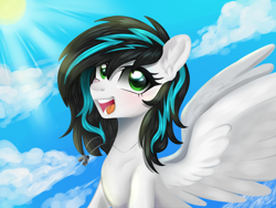 Size: 1600x1200 | Tagged: safe, artist:kaikururu, oc, oc only, oc:danger close, pegasus, pony, :d, eyelashes, female, mare, open mouth, open smile, pegasus oc, smiling, solo, spread wings, wings