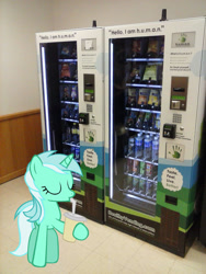 Size: 1536x2048 | Tagged: safe, artist:keeveew, artist:newportmuse, lyra heartstrings, pony, unicorn, g4, drinking, female, hoof hold, irl, mare, photo, ponies in real life, that pony sure does love humans, vending machine