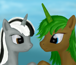 Size: 1000x850 | Tagged: safe, artist:mindlesshead, oc, oc only, pony, unicorn