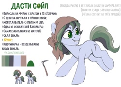 Size: 1380x993 | Tagged: safe, artist:jewellier, oc, oc only, oc:dusty soil, earth pony, pony, pony town, clothes, cyrillic, headscarf, reference sheet, russian, scarf, translated in the comments