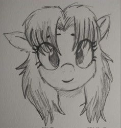 Size: 1938x2048 | Tagged: safe, artist:pony quarantine, oc, oc only, oc:skift, yakutian horse, bust, eye clipping through hair, eyebrows, eyelashes, female, gradient mane, looking at you, mare, no pupils, pencil drawing, smiling, smiling at you, snow mare, solo, traditional art