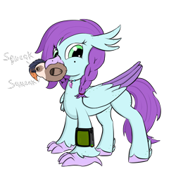 Size: 3000x3000 | Tagged: safe, artist:solos, oc, oc only, oc:aella breeze, oc:valkyrie, hippogriff, fallout equestria, beak, birb, feather, female, folded wings, freckles, high res, hippogriff oc, hooves, mole, mouth hold, pipbuck, plushie, simple background, smiling, solo, standing, talons, transparent background, wings
