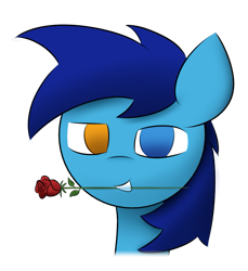 Size: 805x879 | Tagged: safe, artist:japkozjad, oc, oc:apply, pegasus, pony, flower, flower in mouth, heterochromia, looking at you, male, mouth hold, rose, rose in mouth, simple background, smiling, solo, stallion, teeth, transparent background
