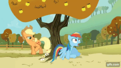 Size: 640x360 | Tagged: safe, screencap, applejack, fluttershy, rainbow dash, earth pony, pegasus, pony, fall weather friends, g4, season 1, ^^, animated, apple, apple tree, applejack's hat, bucking, cowboy hat, cute, eyes closed, female, flying, food, gif, gifs.com, grin, hat, mare, mouth hold, open mouth, scoreboard, shyabetes, smiling, spread wings, tree, walking, wings