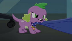 Size: 3410x1920 | Tagged: safe, screencap, spike, spike the regular dog, dog, equestria girls, g4, my little pony equestria girls: friendship games, clothes, high res, jacket, male, solo