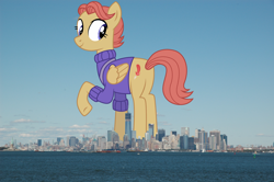 Size: 2300x1529 | Tagged: safe, artist:dragonchaser123, artist:thegiantponyfan, amber ink, pegasus, pony, butt, clothes, female, folded wings, giant pegasus, giant pony, giantess, highrise ponies, irl, looking at you, looking back, looking back at you, macro, manhattan, mare, mega giant, new york, new york city, photo, plot, ponies in real life, raised hoof, smiling, sweater, wings