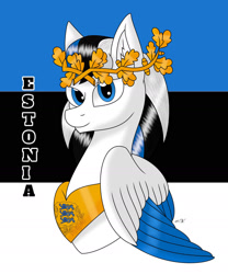 Size: 1280x1536 | Tagged: safe, artist:hiroultimate, oc, pony, estonia, flag, nation ponies, ponified, solo