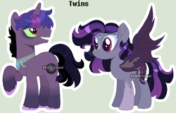 Size: 682x437 | Tagged: safe, artist:stormcloud-yt, oc, oc only, oc:dark swirl, oc:exhaustion, pegasus, pony, base used, duo, female, looking back, male, mare, offspring, parent:king sombra, parent:twilight sparkle, parents:twibra, pegasus oc, raised hoof, simple background, smiling, stallion, unshorn fetlocks