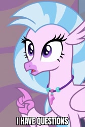 Size: 449x667 | Tagged: safe, edit, edited screencap, screencap, silverstream, classical hippogriff, hippogriff, g4, season 9, student counsel, caption, cropped, female, i have questions, image macro, meme, open mouth, surprised, text
