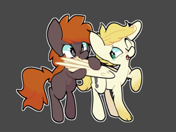 Size: 2048x1536 | Tagged: safe, artist:kindakismet, oc, oc:exist, oc:spirikon, griffequus, pegasus, pony, cute, gray background, grooming, laughing, male, nom, paws, preening, simple background, tickling, wings