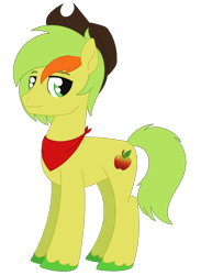 Size: 1269x1738 | Tagged: safe, artist:dyonys, oc, oc only, oc:charles ross, earth pony, pony, cowboy hat, freckles, hat, male, neckerchief, simple background, solo, stallion, standing, stetson, transparent background, unshorn fetlocks