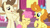 Size: 3410x1920 | Tagged: safe, screencap, li'l cheese, pound cake, pumpkin cake, earth pony, pegasus, pony, unicorn, g4, season 9, the last problem, bipedal, cake twins, eyes closed, female, filly, foal, male, mare, older, older pound cake, older pumpkin cake, open mouth, open smile, siblings, size difference, smiling, stallion, sugarcube corner, the magic of friendship grows, trio, twins