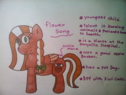 Size: 1600x1200 | Tagged: safe, artist:cpthewingedneko, oc, oc only, oc:flower song, pegasus, pony, bow, braid, female, freckles, hair bow, mare, offspring, parent:big macintosh, parent:fluttershy, parents:fluttermac, simple background, solo, two toned mane, white background