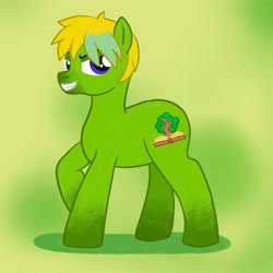 Size: 2000x2000 | Tagged: safe, artist:mediocremare, oc, oc only, earth pony, pony, earth pony oc, full body, grin, high res, hooves, lidded eyes, male, no tail, smiling, solo, stallion, standing