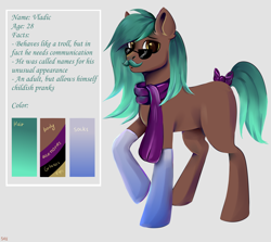 Size: 3700x3300 | Tagged: safe, artist:ske, oc, oc only, earth pony, pony, bow, clothes, facial hair, high res, moustache, reference, reference sheet, scarf, socks, solo, sunglasses, tail, tail bow