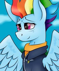Size: 5000x6000 | Tagged: safe, artist:kathepart, rainbow dash, pegasus, pony, g4, the last problem, absurd resolution, clothes, older, older rainbow dash, solo, wings