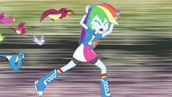 Size: 3410x1920 | Tagged: safe, screencap, rainbow dash, bird, equestria girls, g4, my little pony equestria girls: rainbow rocks, shake your tail, bike shorts, boots, chase, clothes, cutie mark on clothes, eyes closed, female, high res, knee-high boots, kneesocks, open mouth, running, screaming, shirt, shoes, short-sleeved jacket, skirt, socks, solo, wristband