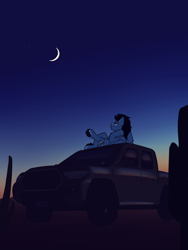 Size: 3000x4000 | Tagged: safe, artist:toanderic, oc, oc only, oc:enduro elite, pegasus, pony, car, colored sketch, desert, looking up, lying down, moon, night, on back, pegasus oc, solo, stargazing, toyota, truck