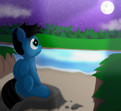 Size: 7200x6600 | Tagged: safe, artist:agkandphotomaker2000, oc, oc only, oc:pony video maker, pegasus, pony, admiring, cloud, folded wings, forest, lake, looking at the scenery, moon, moonlight, night, rock, sand, sitting, stars, tree, water, wings