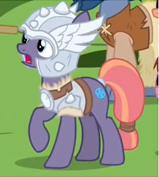 Size: 247x274 | Tagged: safe, screencap, hayrick the blue, sun cross, earth pony, pony, campfire tales, g4, cropped, female, mare, mighty helm, offscreen character, solo focus