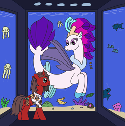 Size: 2408x2422 | Tagged: safe, artist:supahdonarudo, queen novo, oc, oc:ironyoshi, eel, fish, jellyfish, seapony (g4), shark, starfish, unicorn, g4, my little pony: the movie, aquarium, coral, high res, looking at each other, looking at someone, redraw, shell