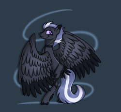 Size: 1660x1536 | Tagged: safe, artist:revenge.cats, oc, pegasus, pony, large wings, simple background, solo, standing on two hooves, tail, tail feathers, wings