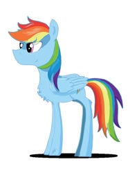 Size: 608x810 | Tagged: safe, artist:migesanwu, rainbow dash, pegasus, pony, g4, chest fluff, female, shadow, simple background, smiling, solo, standing, white background