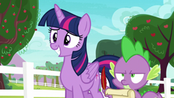 Size: 1280x720 | Tagged: safe, screencap, spike, twilight sparkle, alicorn, dragon, pony, g4, ppov, season 6, annoyed, apple, apple tree, awkward smile, duo, female, fence, male, mare, narrowed eyes, quill, scroll, smiling, spike is not amused, tree, twilight sparkle (alicorn), unamused