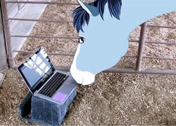 Size: 4096x2950 | Tagged: safe, artist:inisealga, edit, oc, oc only, oc:soaring spirit, horse, computer, glasses, hoers, irl, laptop computer, male, multicolored mane, photo, stallion