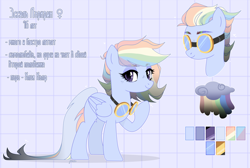 Size: 5120x3448 | Tagged: safe, artist:lissfoxz, oc, oc only, pegasus, pony, bust, cyrillic, eyelashes, female, goggles, mare, multicolored hair, pegasus oc, rainbow hair, raised hoof, reference sheet, russian, translated in the comments, wings