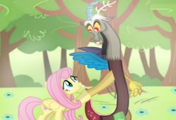 Size: 1024x699 | Tagged: safe, artist:mlplary6, discord, fluttershy, draconequus, pegasus, pony, g4, female, forest, holding hands, looking at each other, male, mare, ship:discoshy, shipping, smiling, smiling at each other, straight