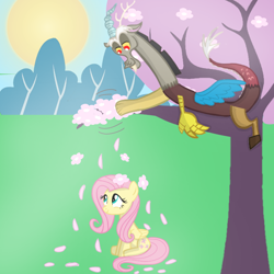 Size: 720x720 | Tagged: safe, artist:mlplary6, discord, fluttershy, draconequus, pegasus, pony, g4, female, flower, flower petals, male, mare, ship:discoshy, shipping, smiling, straight, sun, tree