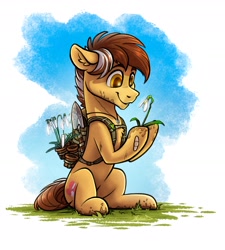 Size: 1916x2126 | Tagged: safe, artist:helmie-art, oc, oc only, unnamed oc, earth pony, pony, earth pony oc, eyebrows, flower, grin, high res, male, simple background, sitting, smiling, solo, stallion, white background