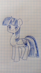 Size: 1152x2048 | Tagged: safe, artist:cherrnichka, twilight sparkle, alicorn, pony, g4, female, folded wings, graph paper, grid, horn, looking at you, mare, solo, traditional art, twilight sparkle (alicorn), wings