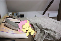 Size: 6000x4000 | Tagged: safe, artist:thesovietboi1945, fluttershy, pegasus, pony, g4, stare master, bed, cute, female, irl, photo, ponies in real life, shyabetes, sleeping, solo