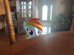 Size: 4608x3456 | Tagged: safe, artist:acid flask, rainbow dash, g4, 3d, gimp, house, jpg, lens flare, looking at you, picture, source filmmaker, table