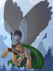 Size: 3558x4724 | Tagged: safe, artist:creed larsen, oc, pegasus, pony, armor, commission, flying, knight, raincoat, solo, wings