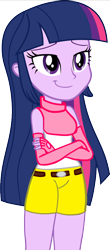 Size: 462x1050 | Tagged: safe, artist:rollyagami02, twilight sparkle, human, equestria girls, g4, clothes, clothes swap, cosplay, costume, digimon, digimon adventure 02, hikari yagami, kari kamiya, simple background, solo, transparent background