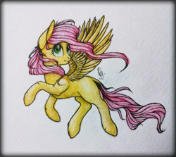 Size: 768x685 | Tagged: safe, artist:pessadie, fluttershy, pegasus, pony, g4, female, mare, solo, traditional art