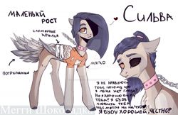 Size: 1280x829 | Tagged: safe, artist:meggychocolatka, oc, oc only, pegasus, pony, bandage, bust, chains, clothes, collar, cyrillic, deviantart watermark, duo, female, heterochromia, mare, obtrusive watermark, pegasus oc, reference sheet, russian, simple background, watermark, white background, wings